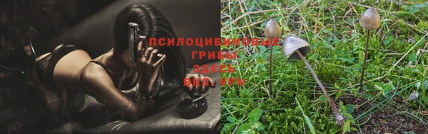 круглые Армянск