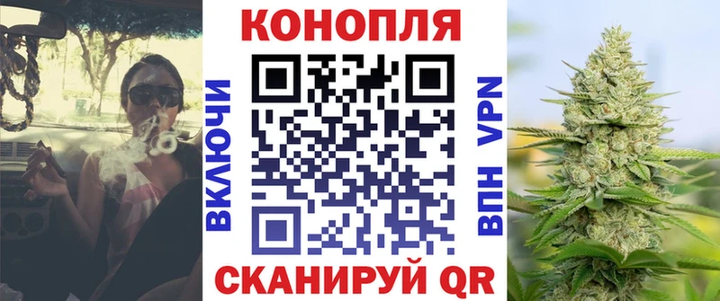 Каннабис сатива  Купить где  Полысаево 